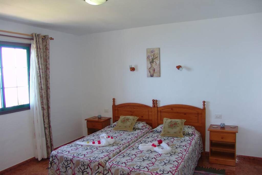 Apartamentos Finca Casa Jardin تيخارافي المظهر الخارجي الصورة