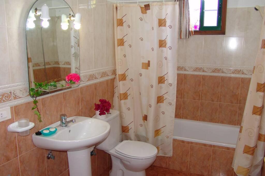 Apartamentos Finca Casa Jardin تيخارافي المظهر الخارجي الصورة